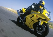 Triumph Daytona 955i Triumph Daytona 955i